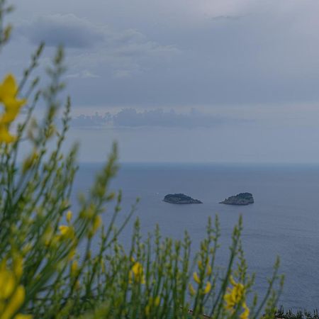 Villa La Pace Sant'Agnello Dış mekan fotoğraf