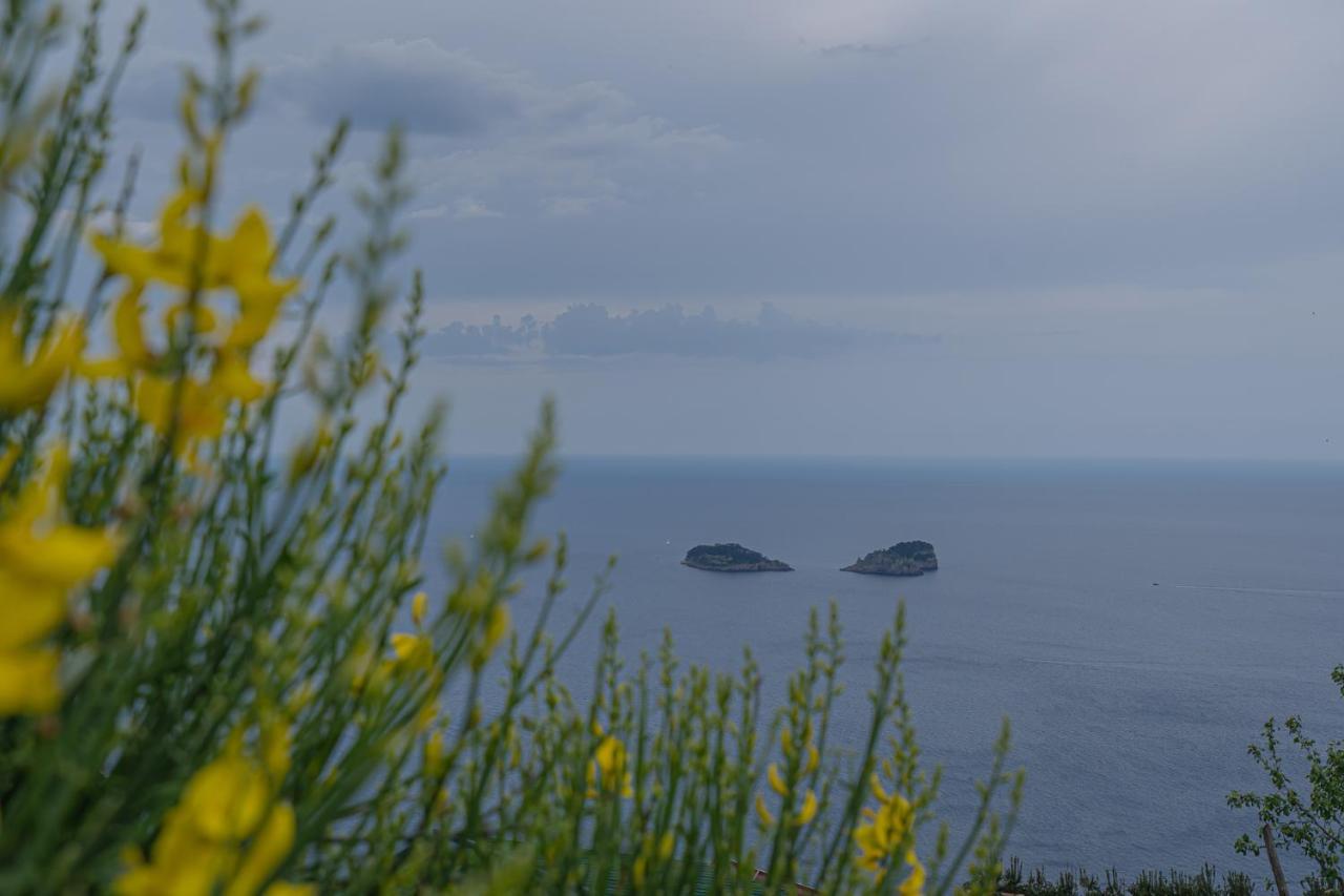 Villa La Pace Sant'Agnello Dış mekan fotoğraf