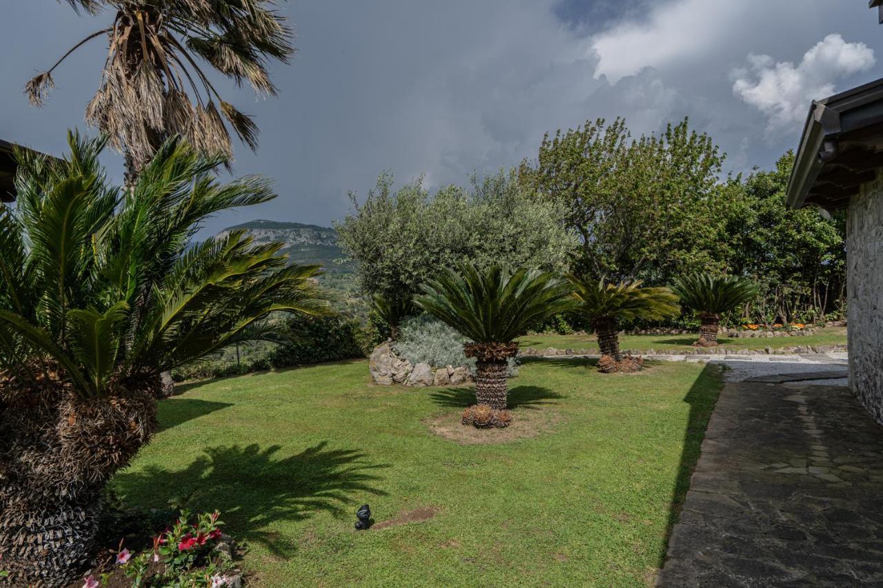 Villa La Pace Sant'Agnello Dış mekan fotoğraf