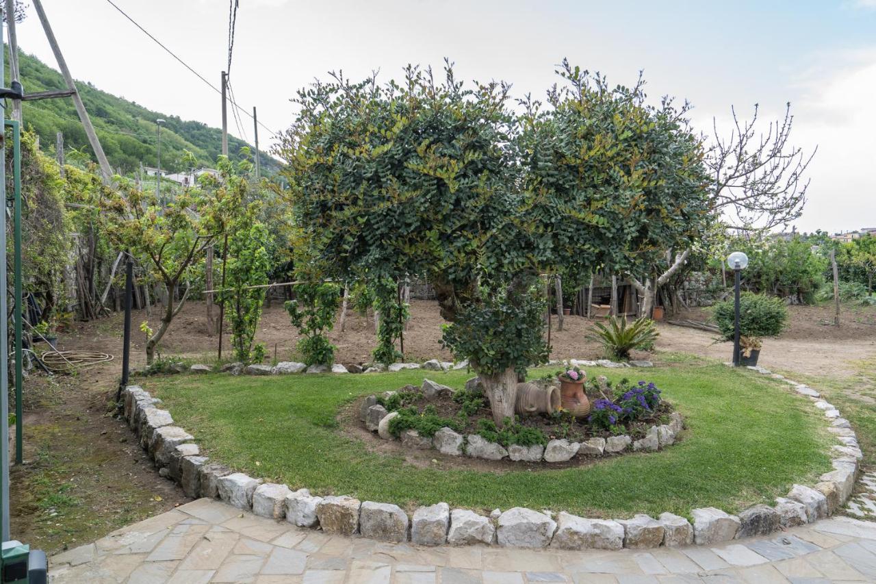 Villa La Pace Sant'Agnello Dış mekan fotoğraf