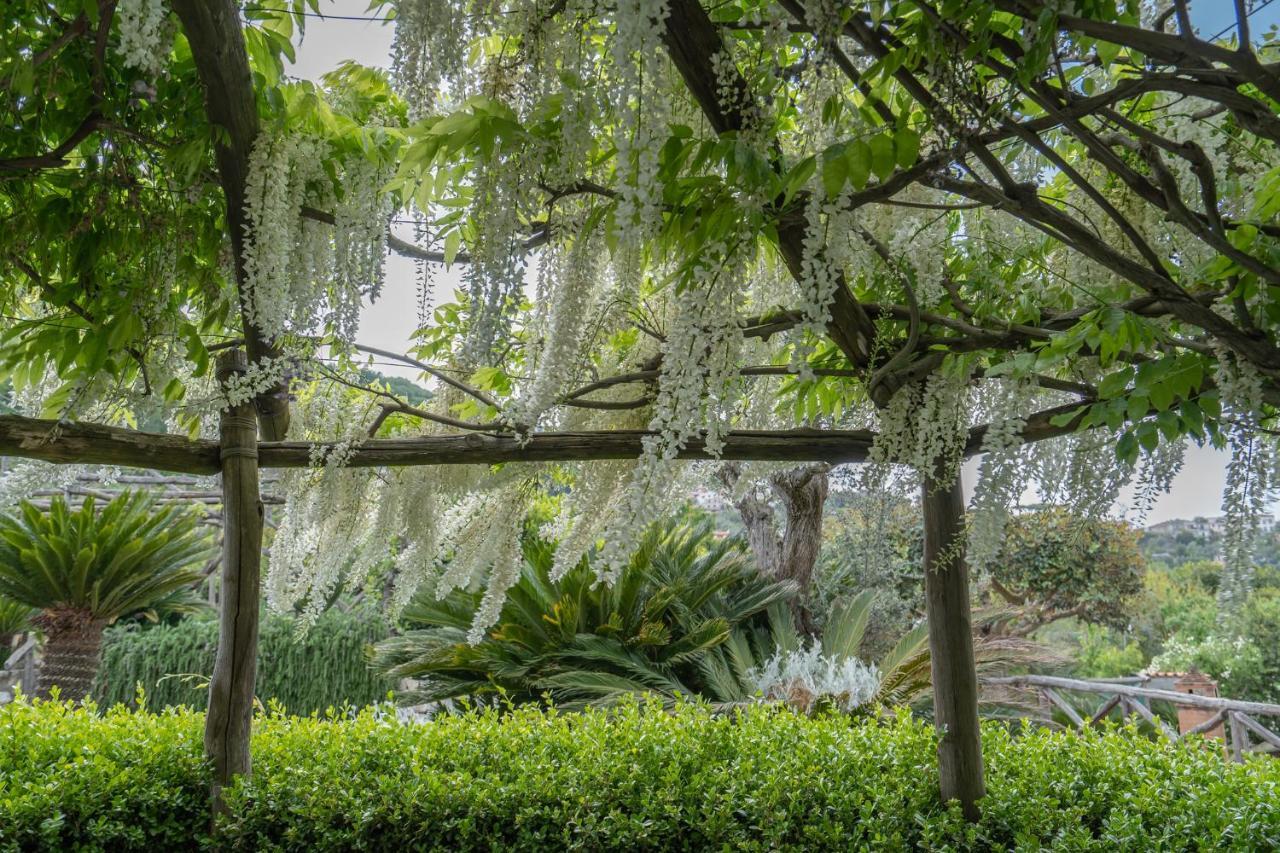 Villa La Pace Sant'Agnello Dış mekan fotoğraf