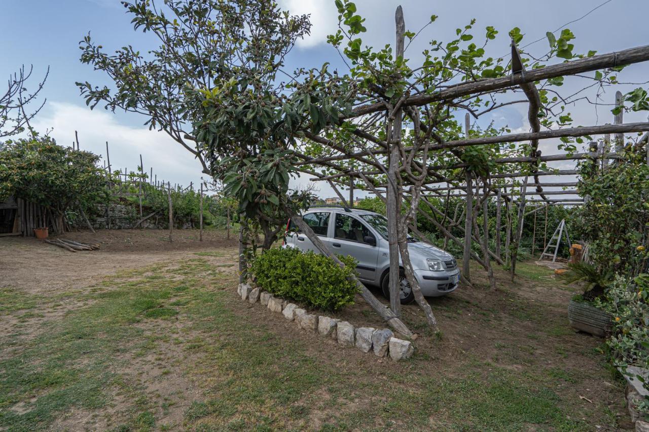 Villa La Pace Sant'Agnello Dış mekan fotoğraf