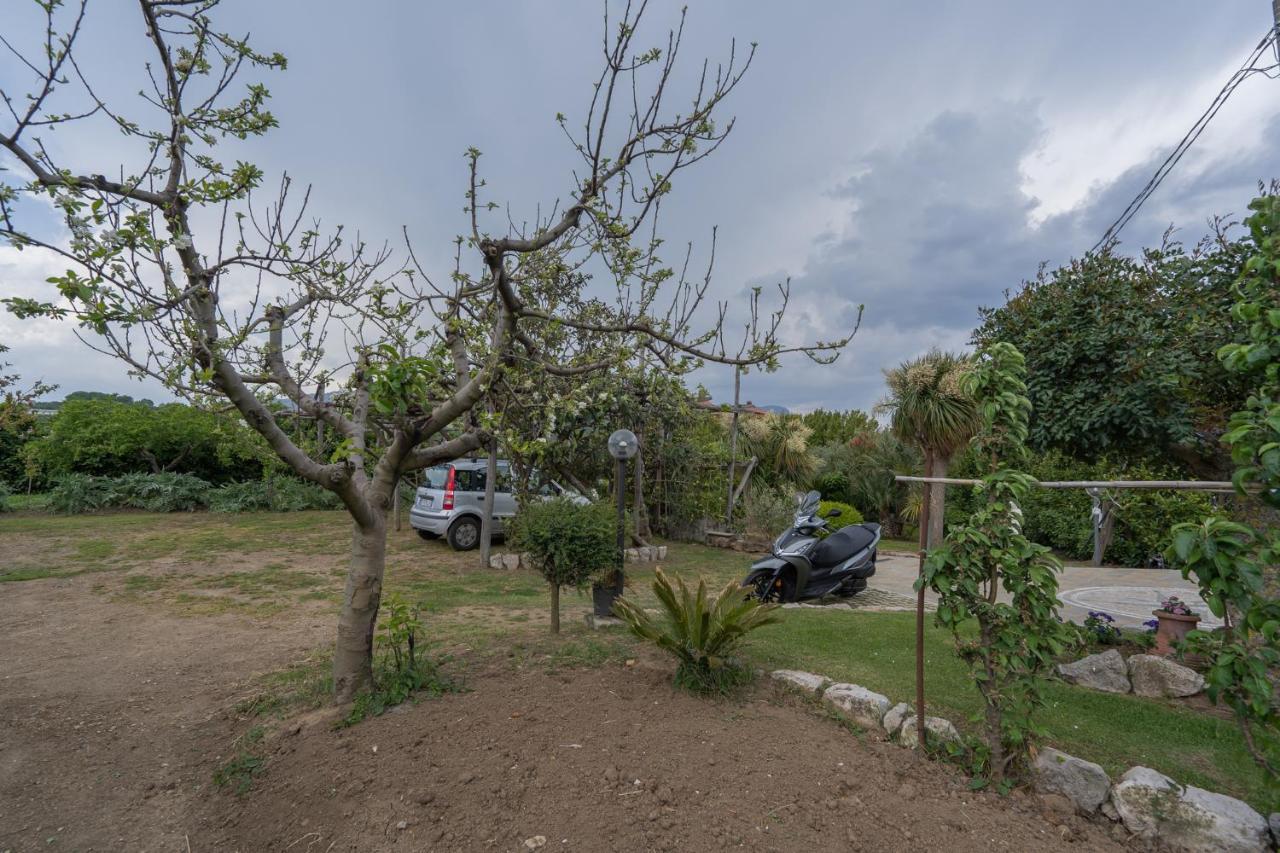 Villa La Pace Sant'Agnello Dış mekan fotoğraf