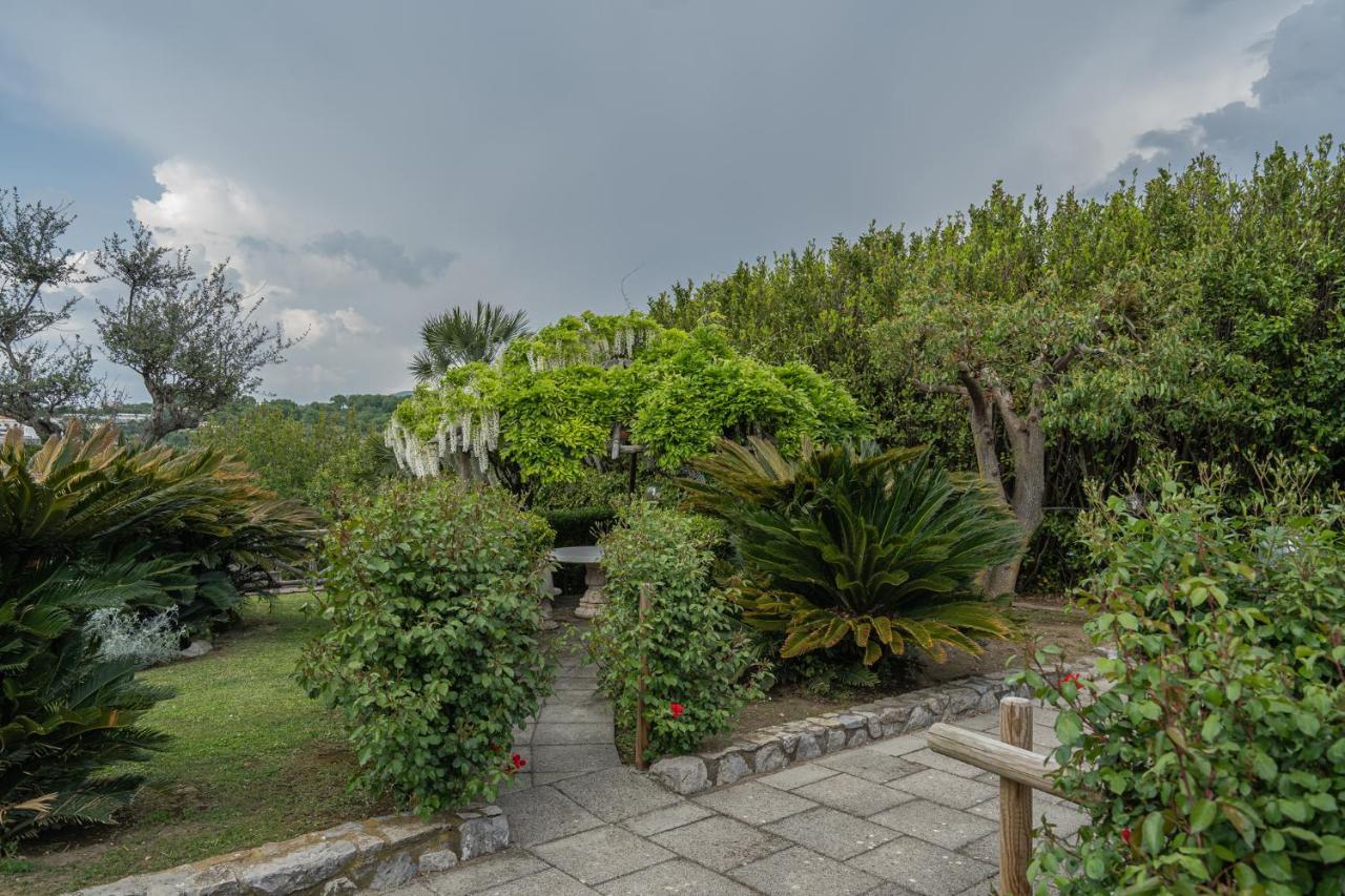 Villa La Pace Sant'Agnello Dış mekan fotoğraf